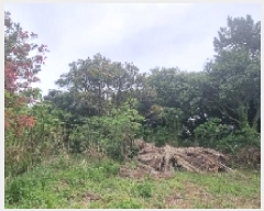  2025Ÿ��1167 ���� �������� ������ ���︮ 94-4      ����(��1)���