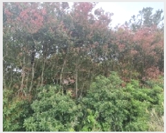  2025Ÿ��1167 ���� �������� ������ ���︮ 94-4      ����(��1)���