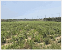  2025Ÿ��1191 ���� �������� ������ ������ 167      ����(��1)���