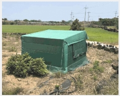  2025Ÿ��1191 ���� �������� ������ ������ 167      ����(��1)���