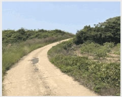  2025Ÿ��1191 ���� �������� ������ ������ 167      ����(��1)���