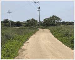  2025Ÿ��1191 ���� �������� ������ ������ 167      ����(��1)���