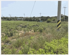  2025Ÿ��1191 ���� �������� ������ ������ 167      ����(��1)���