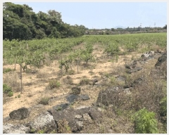  2025Ÿ��1191 ���� �������� ������ ������ 167      ����(��1)���