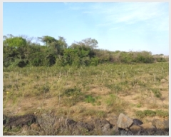  2025Ÿ��1191 ���� �������� ������ ������ 167      ����(��1)���