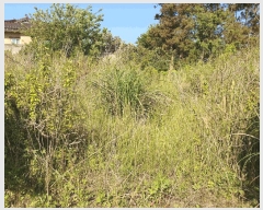  2025Ÿ��1199  ���������