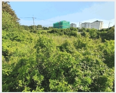  2025Ÿ��1199  ���������