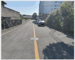  2025Ÿ��1199  ���������