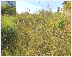  2025Ÿ��1199  ���������