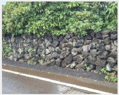  2025Ÿ��1199  ���������