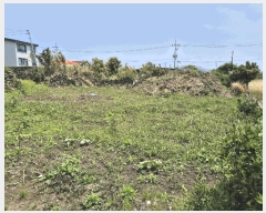  2025Ÿ��1209 ���� ���ֽ� �쵵�� ���� 1843      ����(����)���