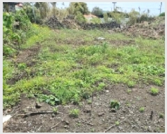  2025Ÿ��1209 ���� ���ֽ� �쵵�� ���� 1843      ����(����)���