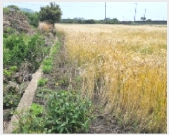  2025Ÿ��1209 ���� ���ֽ� �쵵�� ���� 1843      ����(����)���