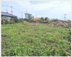  2025Ÿ��1209 ���� ���ֽ� �쵵�� ���� 1843      ����(����)���