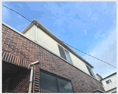  2025Ÿ��1247 ���� ���ֽ� ���� 310-64       ���ð��