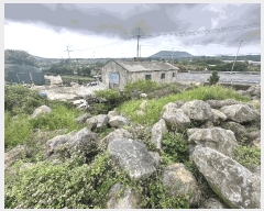  2025Ÿ��1256 ���� �������� �ȴ��� ������ 1376      ����(��1)���