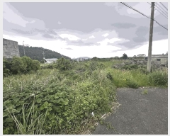  2025Ÿ��1256 ���� �������� �ȴ��� ������ 1376      ����(��1)���