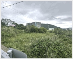  2025Ÿ��1256 ���� �������� �ȴ��� ������ 1376      ����(��1)���