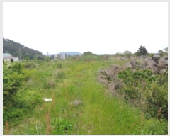  2025Ÿ��1256 ���� �������� �ȴ��� ������ 1376      ����(��1)���