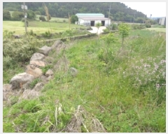  2025Ÿ��1256 ���� �������� �ȴ��� ������ 1376      ����(��1)���