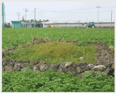  2025Ÿ��1266 ���� �������� ������ ��� 2707      ����(������)���