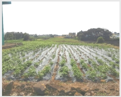  2025Ÿ��1266 ���� �������� ������ ��� 2707      ����(������)���