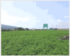  2025Ÿ��1266 ���� �������� ������ ��� 2707      ����(������)���