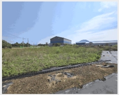  2025Ÿ��1277  �����