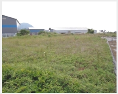  2025Ÿ��1277  �����