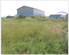  2025Ÿ��1277  �����