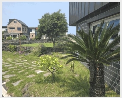  2025Ÿ��1303  ���ð��