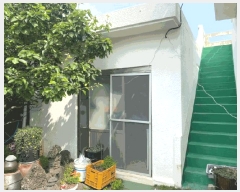  2025Ÿ��1304 ���� ���ֽ� ������ ��縮 3800      ����(����)���