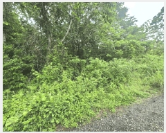  2025Ÿ��1311  �����