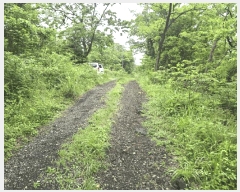  2025Ÿ��1311  �����