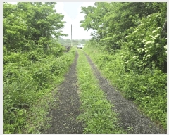  2025Ÿ��1311  �����