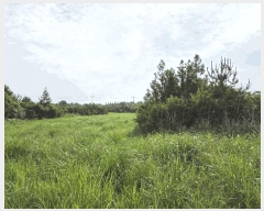  2025Ÿ��1326 ���� �������� ������ ��޸� 1783-10      ����(�Ӿ�)���