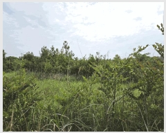  2025Ÿ��1326 ���� �������� ������ ��޸� 1783-10      ����(�Ӿ�)���