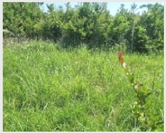  2025Ÿ��1326 ���� �������� ������ ��޸� 1783-10      ����(�Ӿ�)���