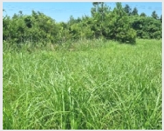  2025Ÿ��1326 ���� �������� ������ ��޸� 1783-10      ����(�Ӿ�)���