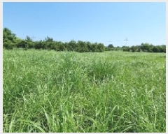  2025Ÿ��1326 ���� �������� ������ ��޸� 1783-10      ����(�Ӿ�)���