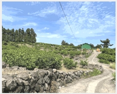  2025Ÿ��1334  ���������