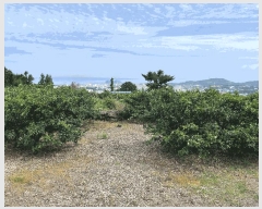  2025Ÿ��1334  ���������