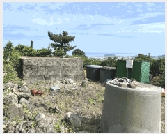  2025Ÿ��1334  ���������