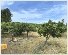  2025Ÿ��1334  ���������