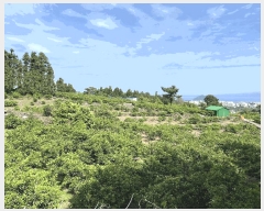  2025Ÿ��1334  ���������