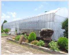  2025Ÿ��1337 ���� ���ֽ� ������ ��õ�� 279      ���ð��