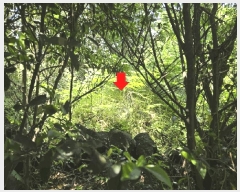  2025Ÿ��1339 ���� ���ֽ� ������ ��õ�� 561-3      ���ð��