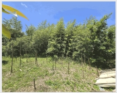  2025Ÿ��1339 ���� ���ֽ� ������ ��õ�� 561-3      ���ð��