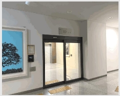  2025Ÿ��1382  ���ǽ��ڰ��