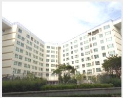  2025Ÿ��1382  ���ǽ��ڰ��